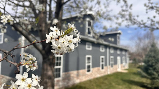 A close-up of delicate white flowers against a charming gray house backdrop in spring.