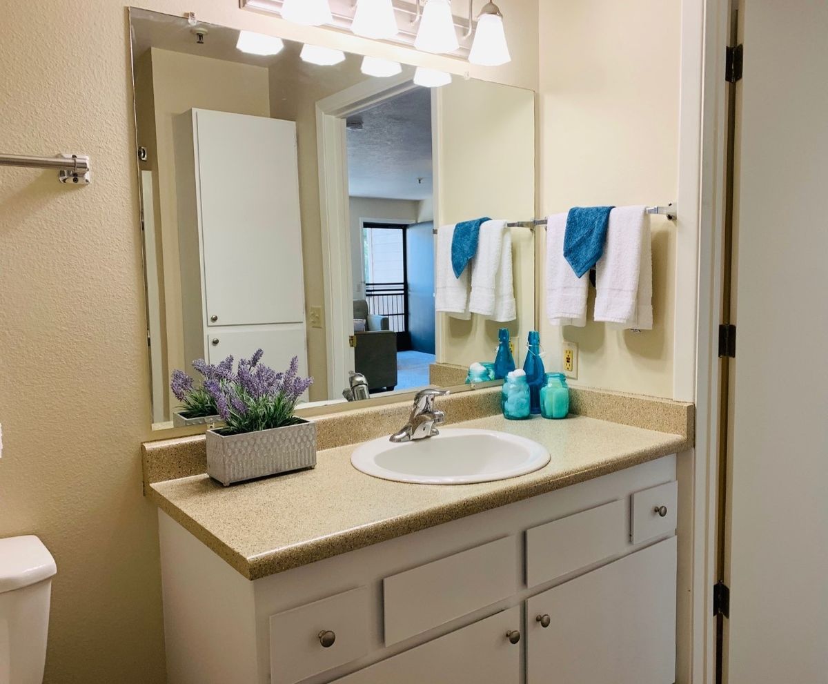 A clean and bright bathroom with a single sink, mirror, and neatly arranged towels.