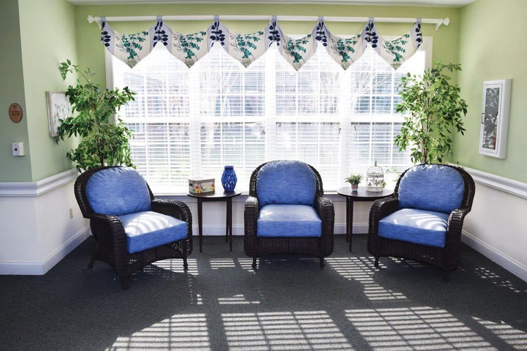 A cozy living room setup with three blue upholstered chairs, plants, and a large window letting in sunlight.
