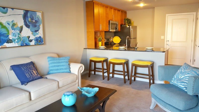 A cozy apartment living room with a sofa and a kitchen area featuring bar stools.