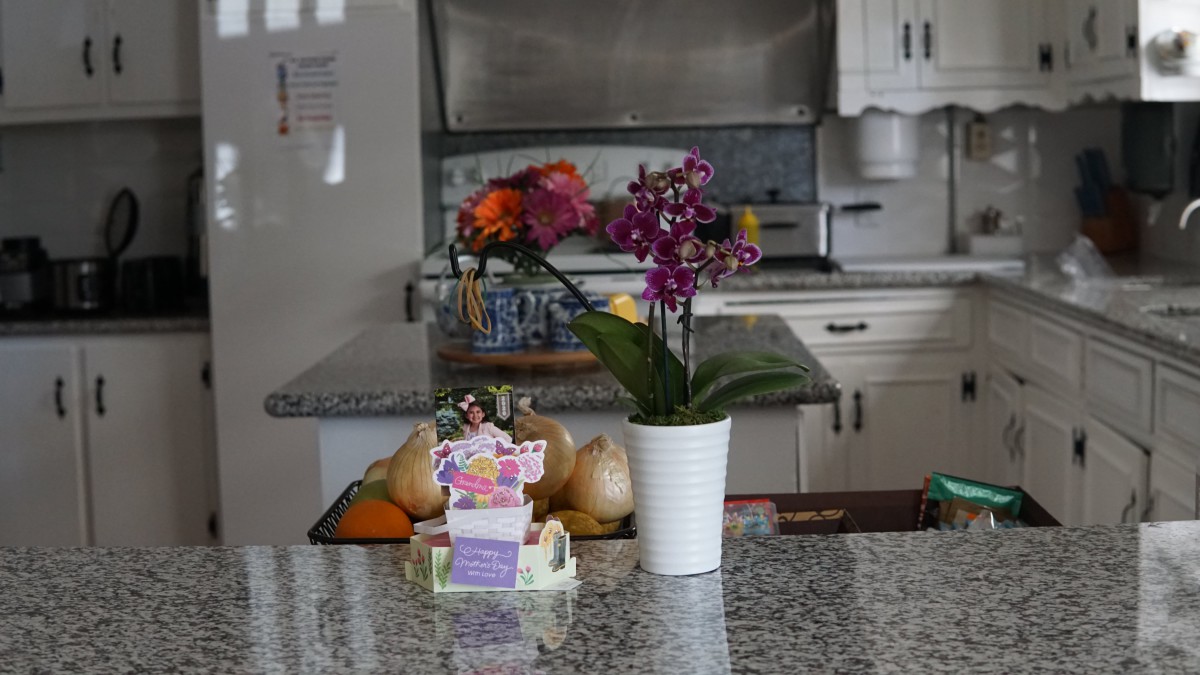 A kitchen with a granite countertop featuring a potted orchid and a fruit basket.