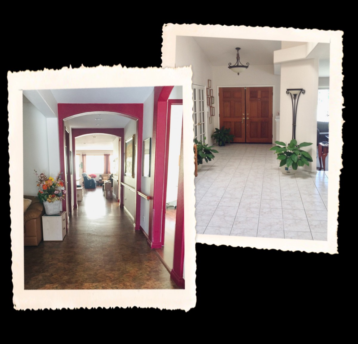 A comparison of two elegant hallway interiors featuring decorative plants and unique architectural details.