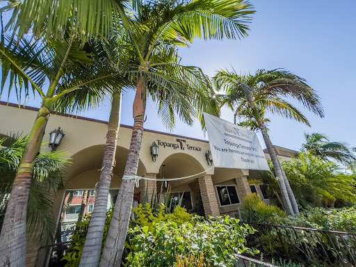 A sunny view of a commercial building surrounded by lush palm trees.