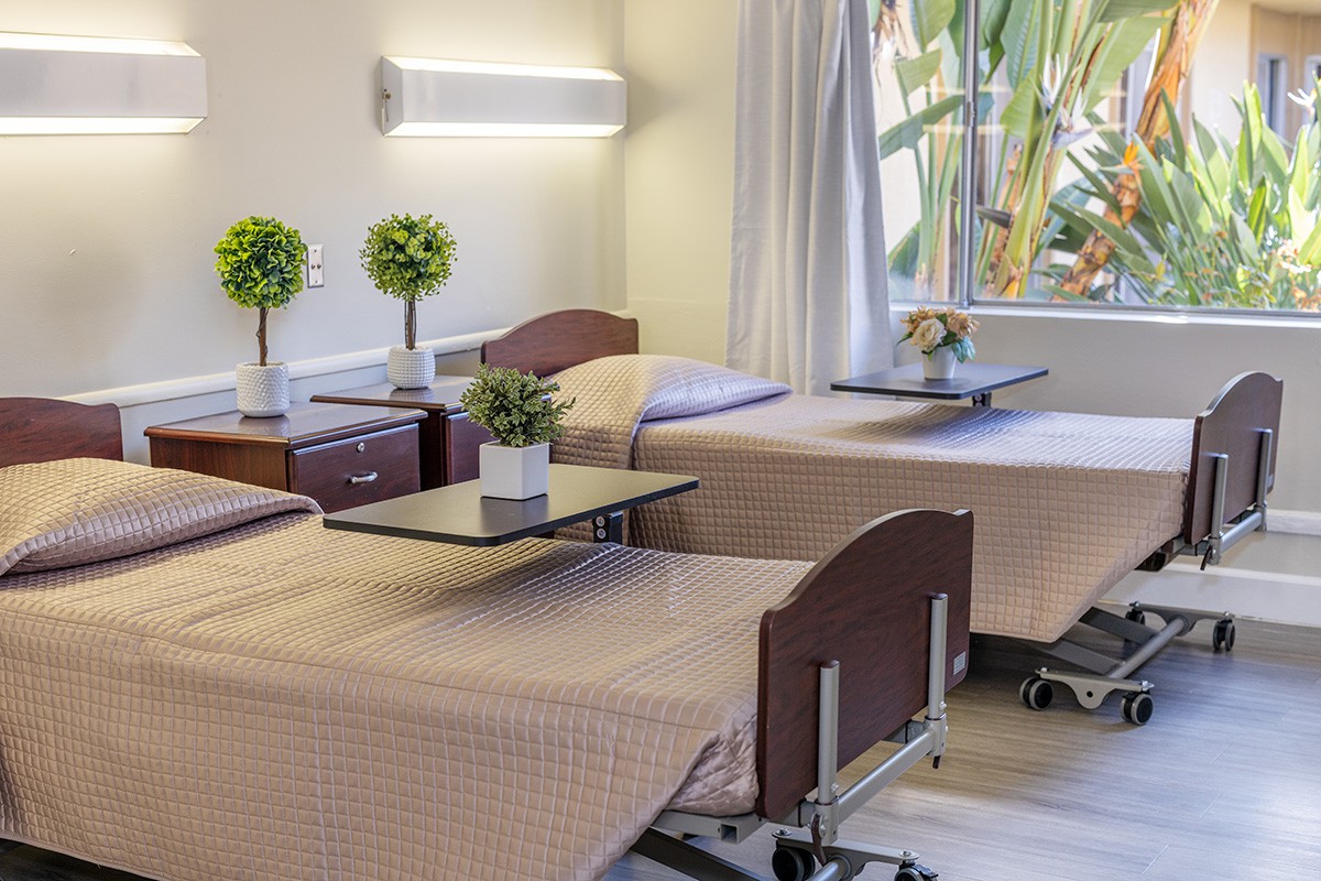 A clean and organized hospital room with two beds adorned with small plants.