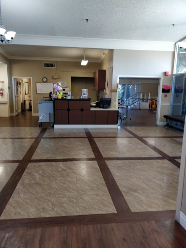A bright and spacious reception area with a welcoming atmosphere.