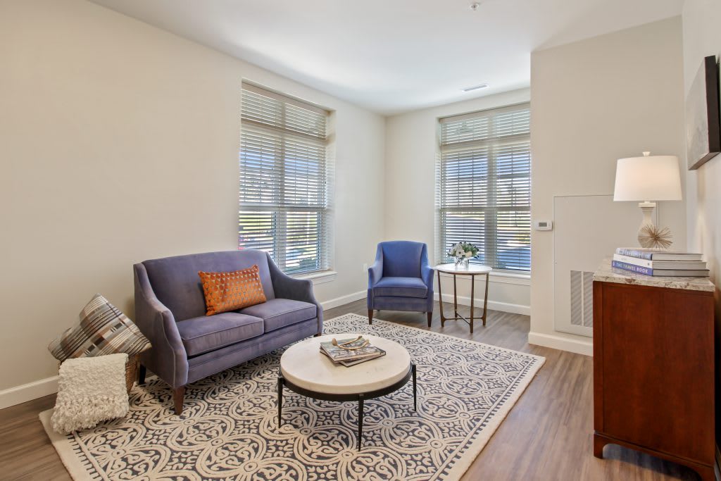 A cozy living room with a sofa, chair, and coffee table on a decorative rug.