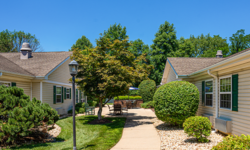 A well-maintained pathway between residential buildings, lined with trees and bushes on a sunny day.