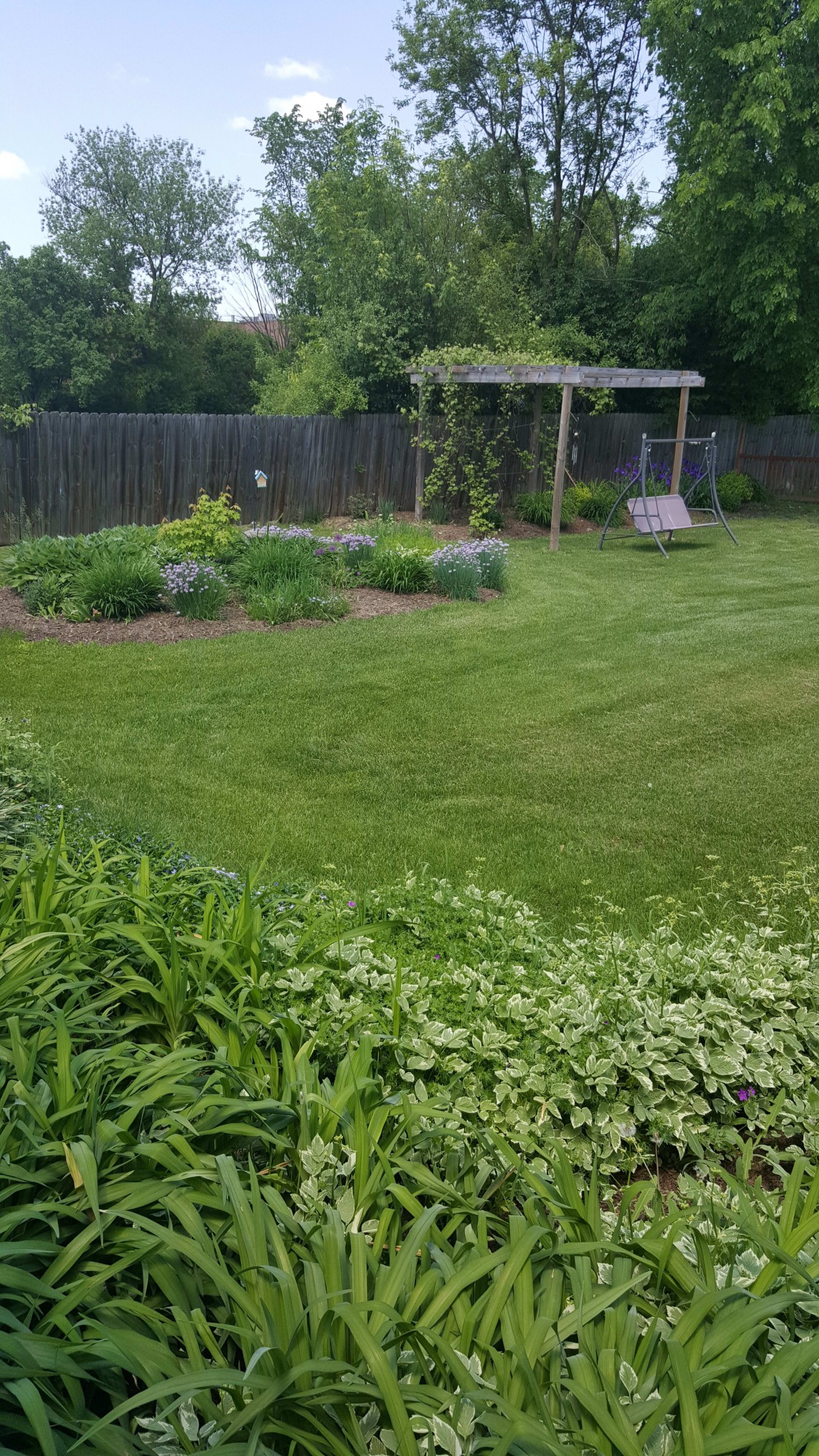 A well-maintained backyard garden featuring a lush lawn, a pergola with a swing, and landscaped flower beds.