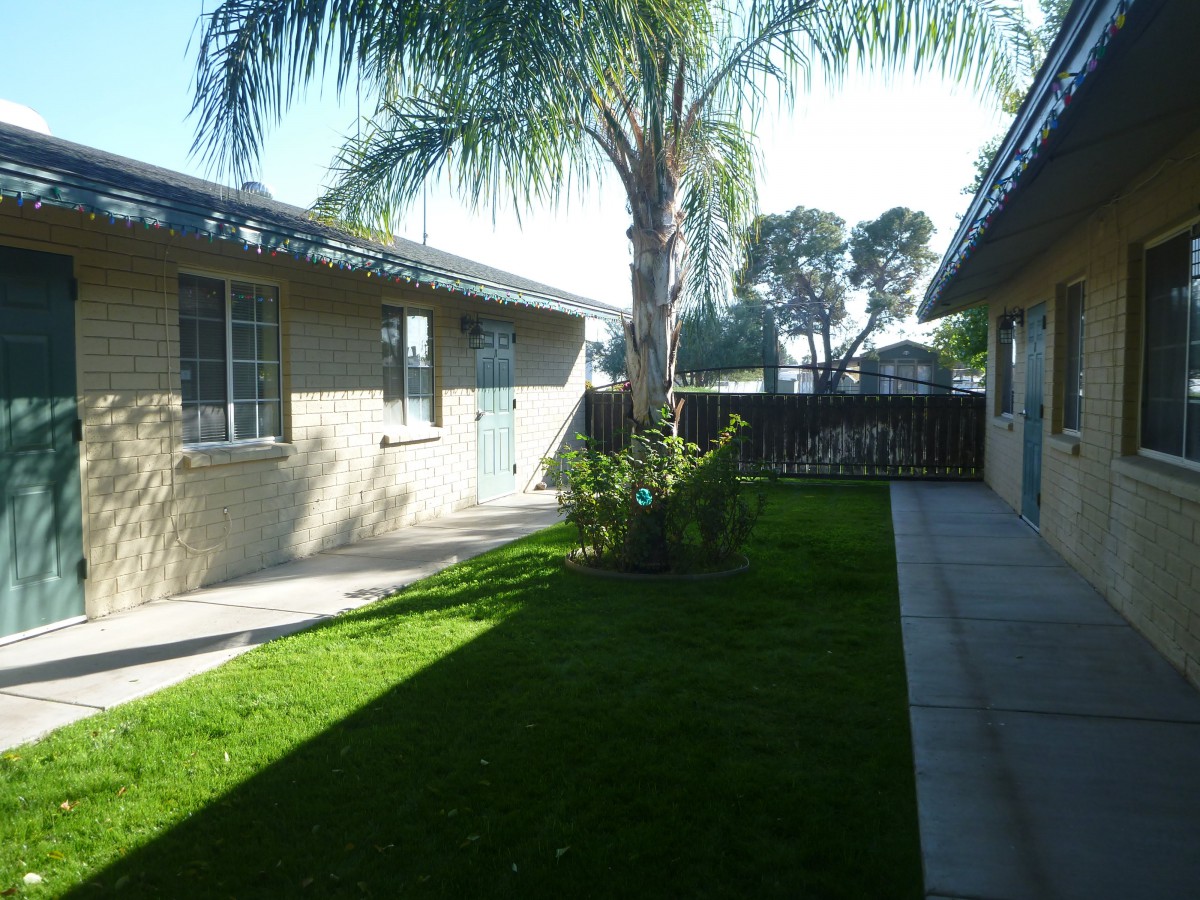A suburban backyard featuring a lush lawn and a tall palm tree between two houses.