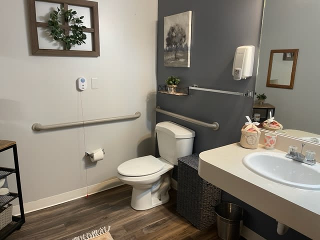 A well-decorated accessible bathroom featuring a toilet, sink, and handrails, with wall art and decor.