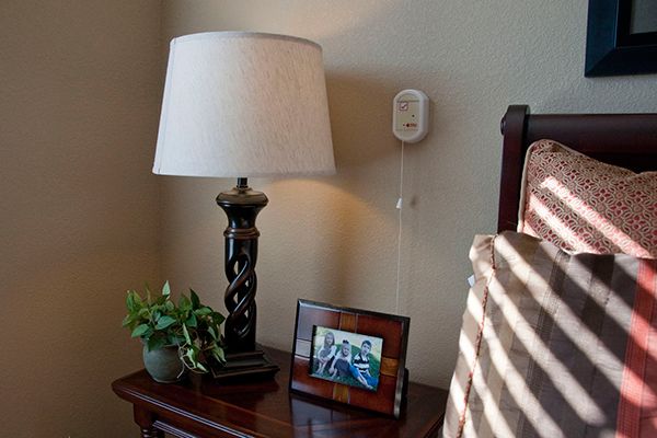 A cozy bedside table with a lamp, a small plant, and a photo frame.