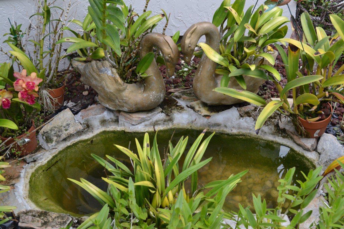 Golden Swan Assisted Living & Memory Care Facility