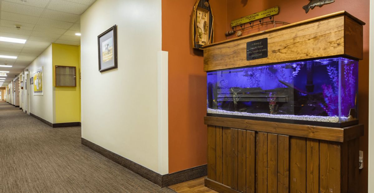 A hallway featuring a decorative wooden aquarium setup.
