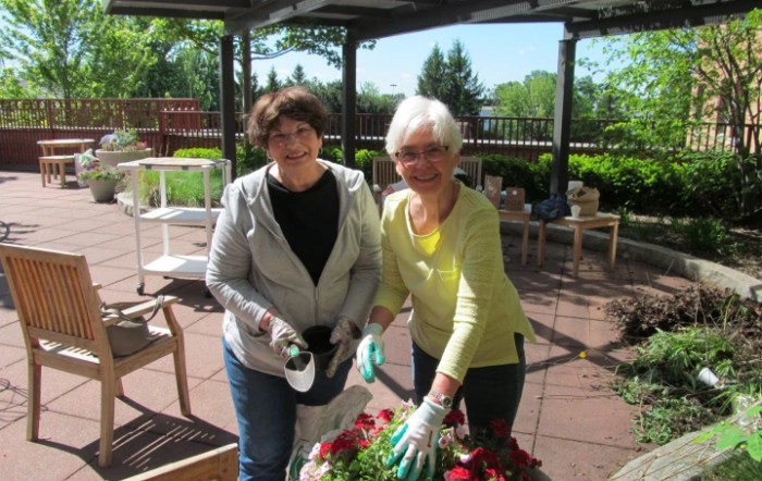 Two women gardening on a sunny patio, surrounded by plants.