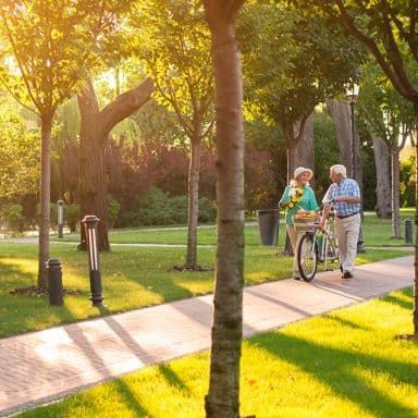 An elderly couple enjoys a sunny walk in the park with a bicycle.