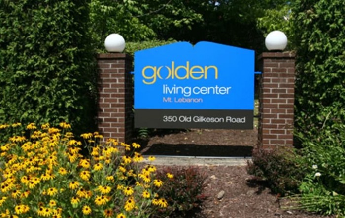 Mt Lebanon Rehabilitation And Wellness Center