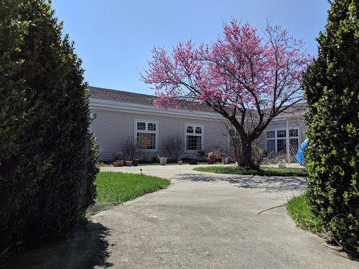 A picturesque house surrounded by a well-maintained garden featuring a flowering tree.