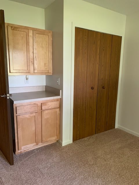 A room interior featuring a cabinet, closet, and carpet flooring.
