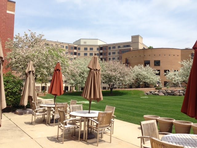 An outdoor patio area with tables, chairs, and umbrellas, set against the backdrop of a large building and surrounded by landscaped greenery.