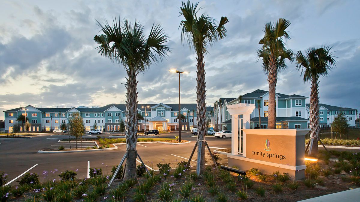 A view of palm trees in a parking lot with buildings and a cloudy sky in the background.