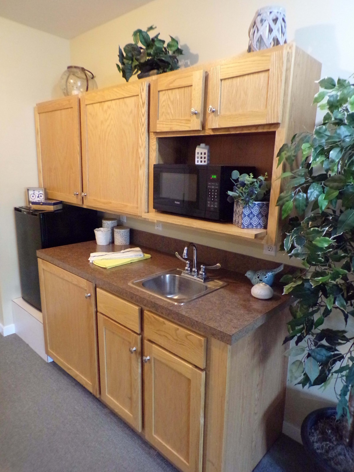 A compact kitchenette area with wooden cabinets, a microwave, and a small sink, complemented by a potted plant.