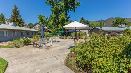 A sunny outdoor area with patio furniture and umbrellas surrounded by trees and greenery.