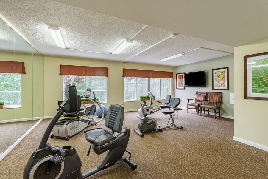 A well-lit gym featuring exercise bikes and treadmills.