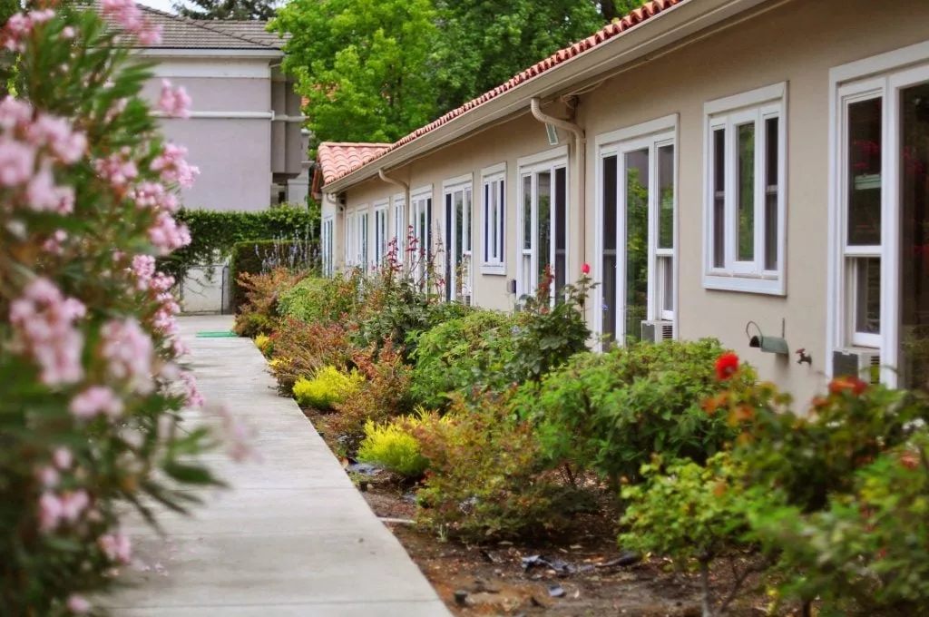 A landscaped pathway lined with shrubs and flowers alongside a building with large windows.