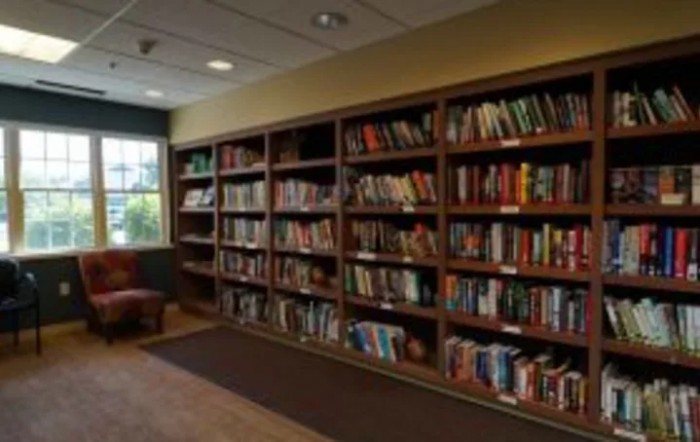A cozy library corner with bookshelves filled with a variety of books.