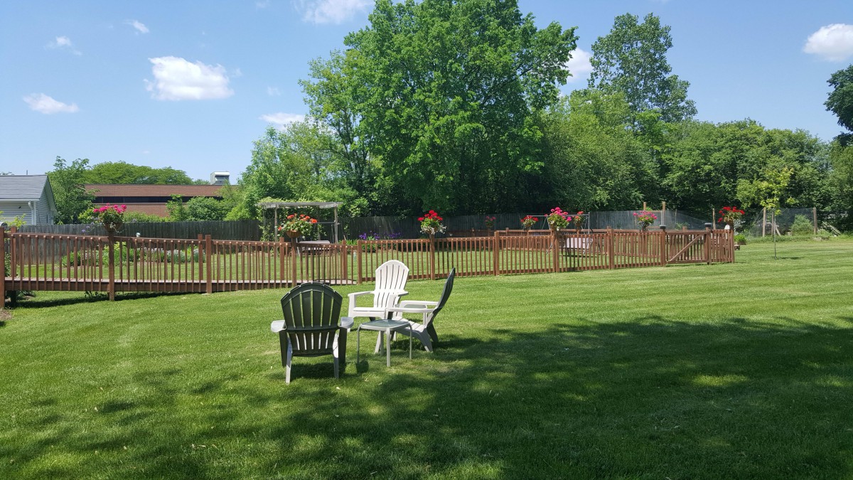 Sunlit backyard with chairs and lush greenery.
