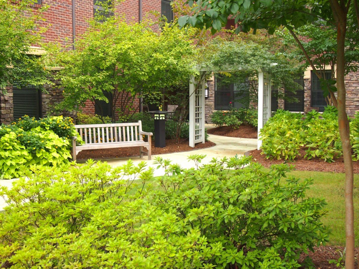 A peaceful garden with a white bench and archway surrounded by lush greenery.