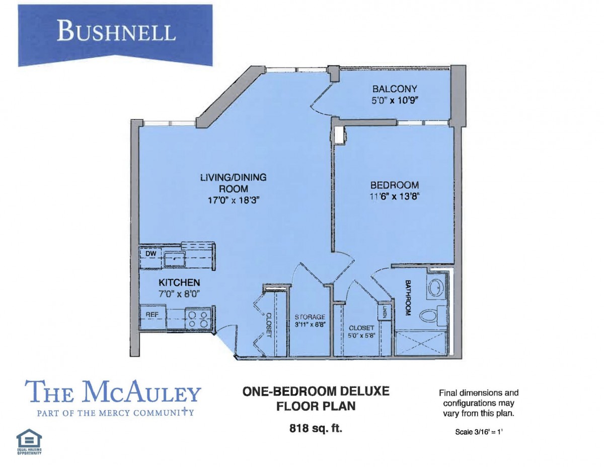 Floor plan for a one-bedroom deluxe apartment with living room, kitchen, bathroom, and balcony.