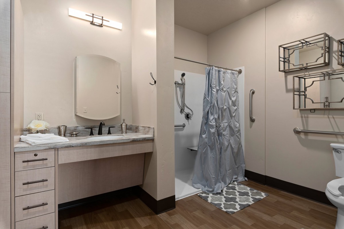 An accessible bathroom with a shower, sink, mirror, and safety grab bars.