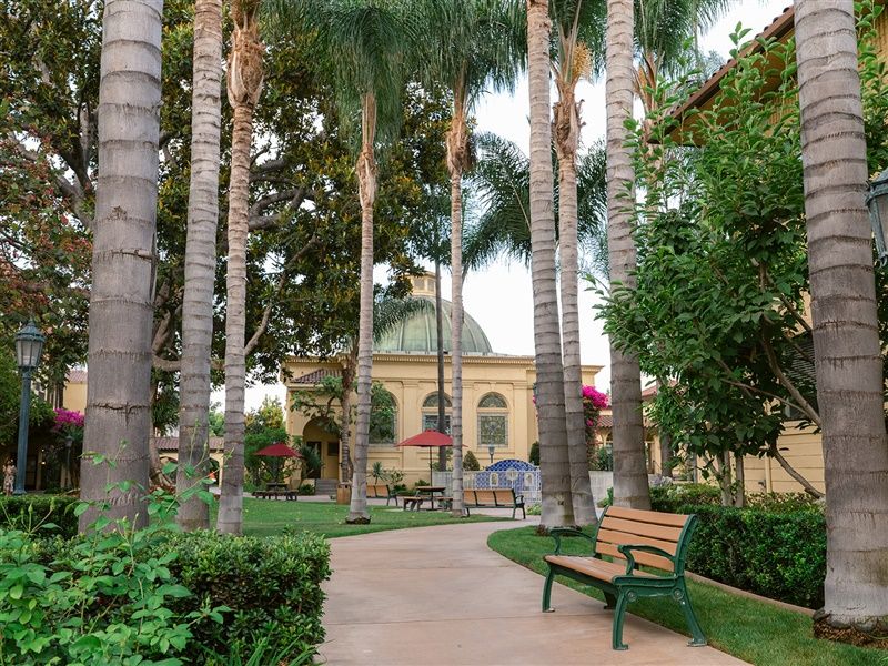 A serene park pathway lined with palm trees and benches, leading to a domed building in the background.