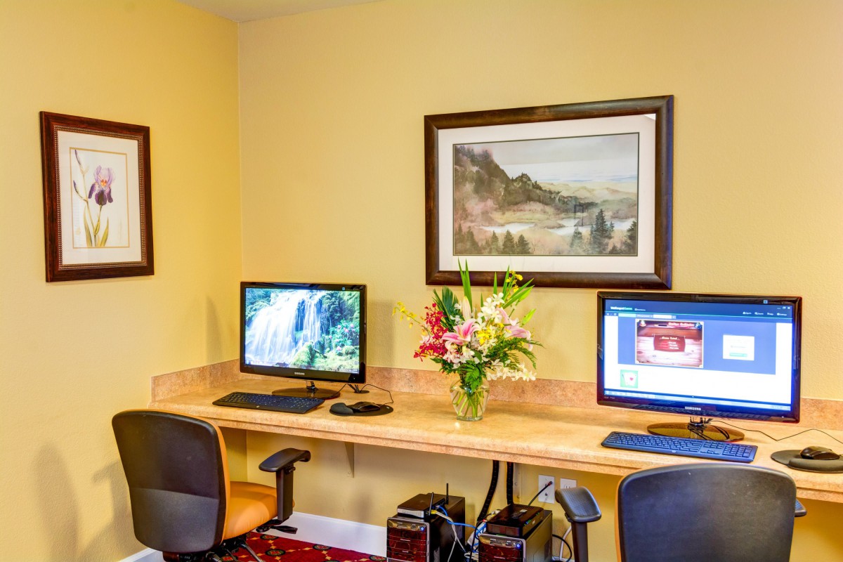 A small office space with two computers, chairs, and decorative flowers on a shared desk.