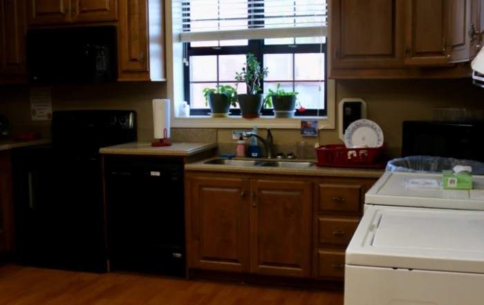 A cozy kitchen with wooden cabinets, a sink, and plants on the window sill.
