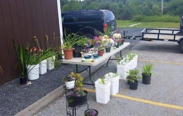 Greensboro Nursing Home
