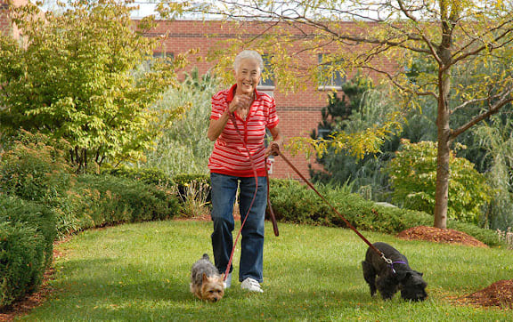 An elderly woman walking two dogs in a garden.