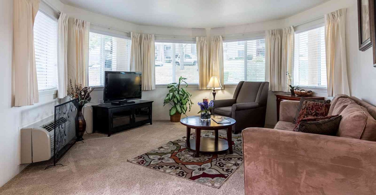 A cozy living room with a sofa, armchair, coffee table, and television.