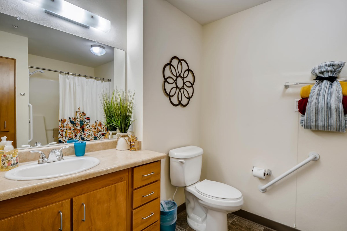 A clean and tidy bathroom featuring wooden cabinets, a mirror above the sink, a toilet, and decorative wall art.