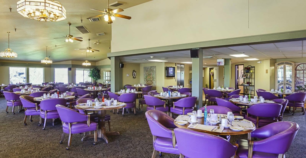 A brightly lit restaurant dining area featuring purple chairs and set tables.