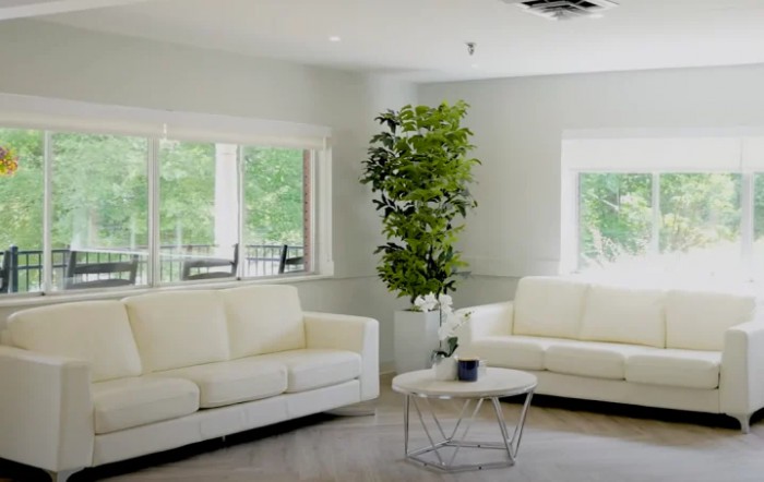 A minimalist living room with white sofas, a geometric coffee table, and a tall indoor plant near large windows.