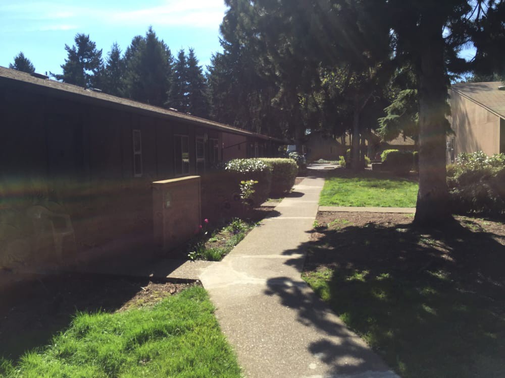 A sunlit sidewalk with a building on one side and trees in the background.