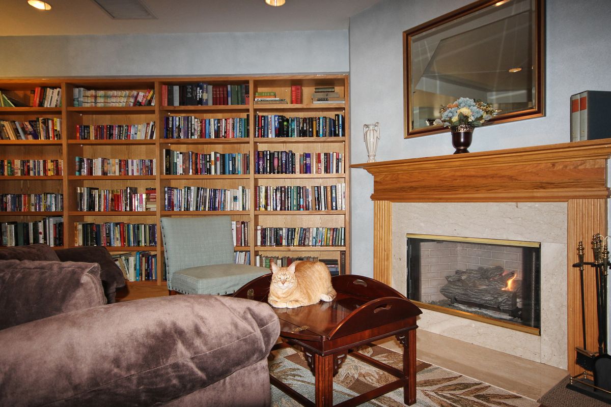 A cozy living room with a fireplace and a large bookshelf filled with books.