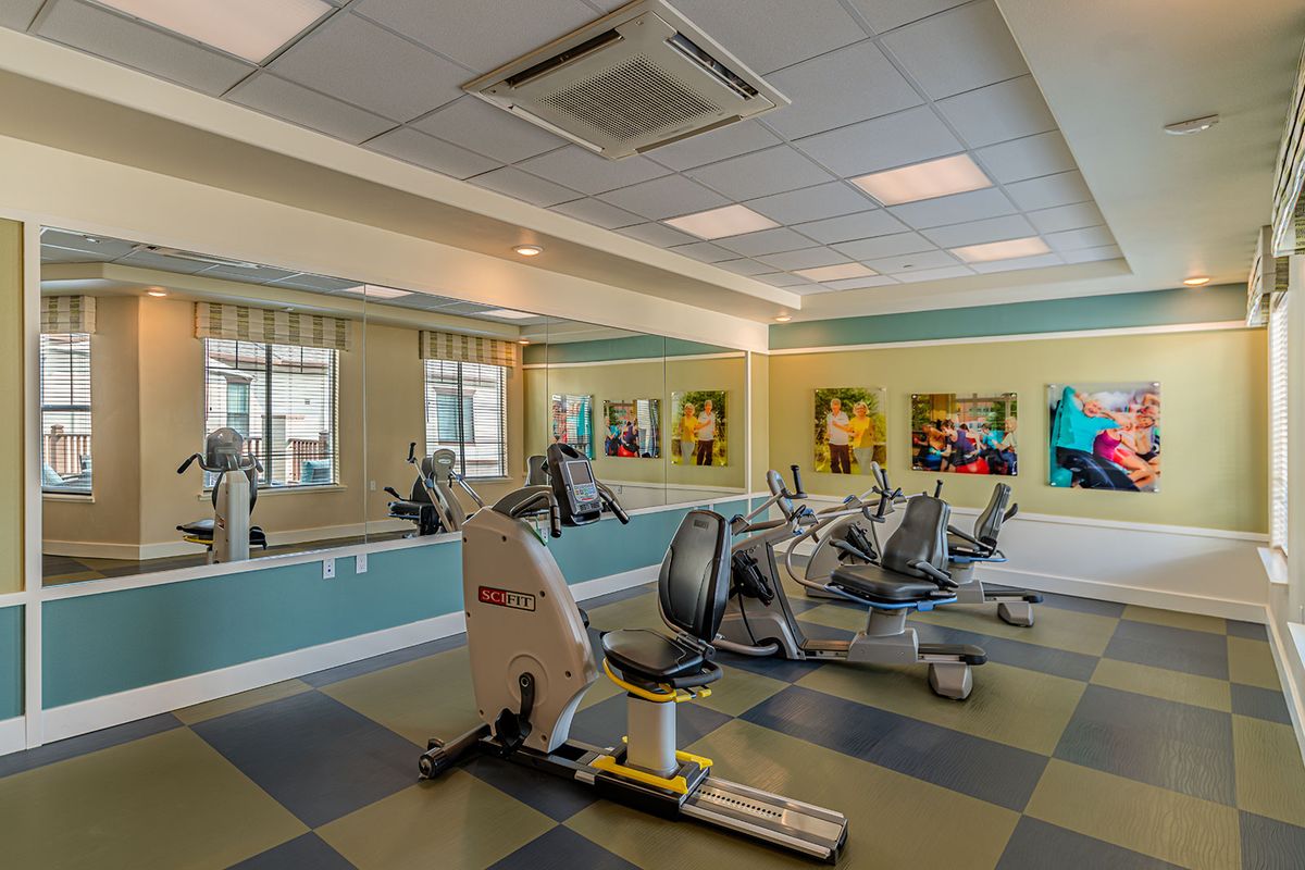 A modern gym featuring stationary bikes and wall mirrors.