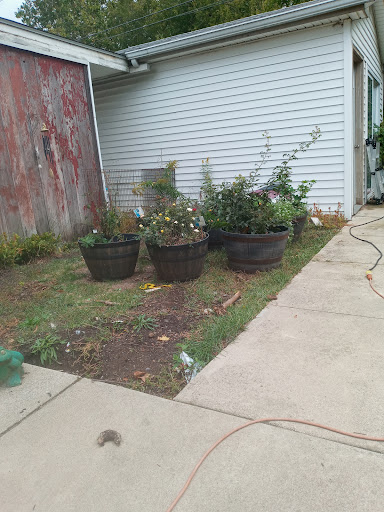 A serene outdoor garden area featuring various potted plants beside a concrete pathway.