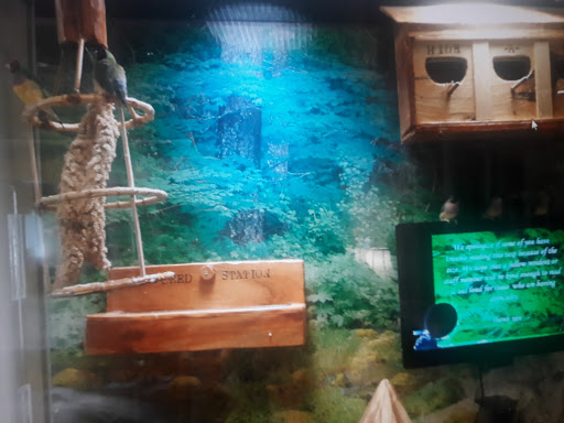 An animal enclosure featuring natural elements and educational information.