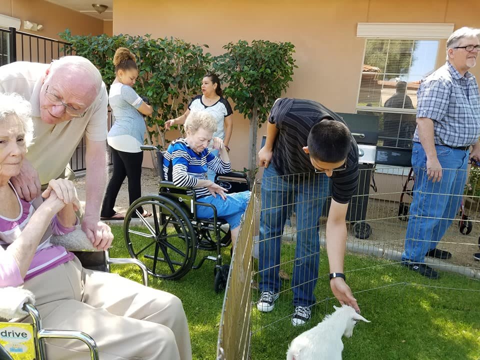 A group of people enjoying a sunny day with animals in an outdoor setting.