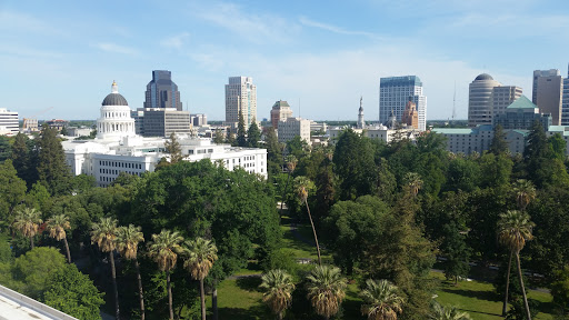 A panoramic view of Sacramento showcasing a blend of urban architecture and lush greenery.