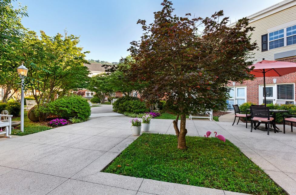 A serene garden with lush greenery, featuring trees, flowers, and a paved walkway.